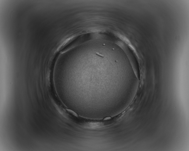 X0000086000154200703300955