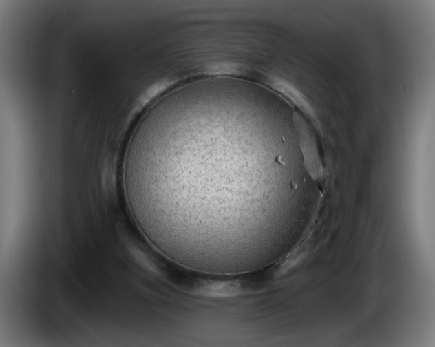 X0000086000155200703300955