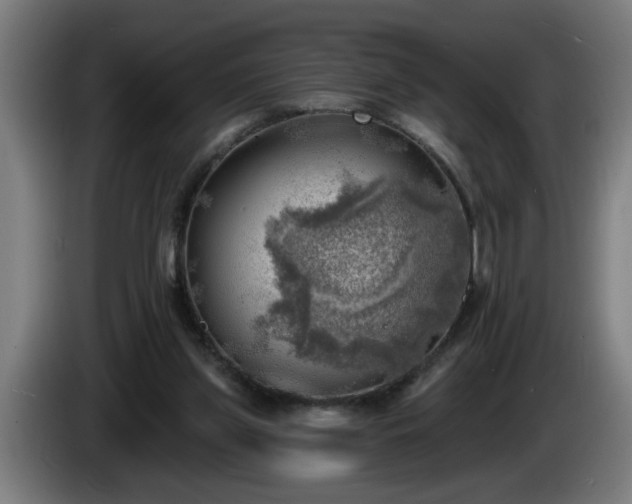 X0000086000157200703300955