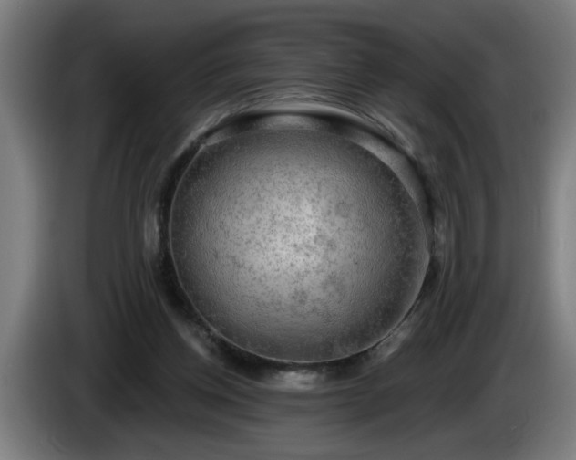 X0000086000158200703300955