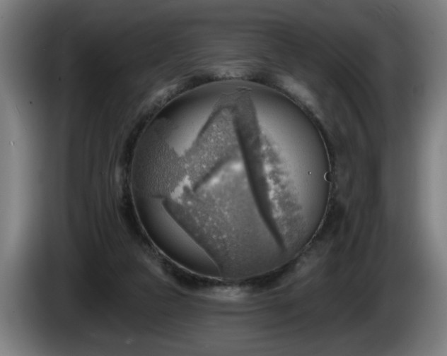 X0000086000161200703300955