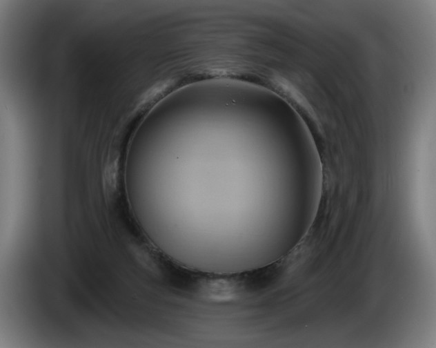 X0000086000163200703300956