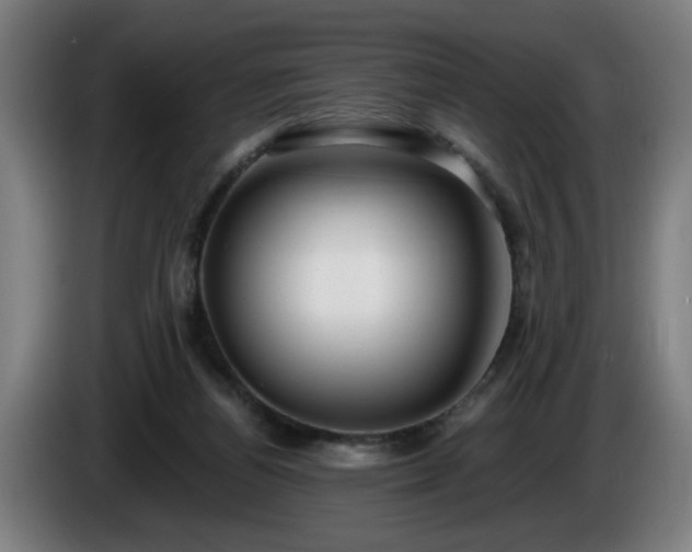 X0000086000164200703300956