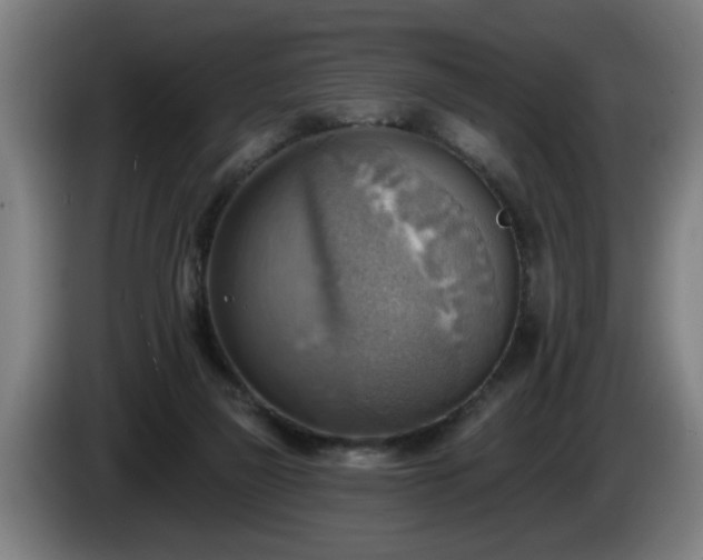 X0000086000165200703300956