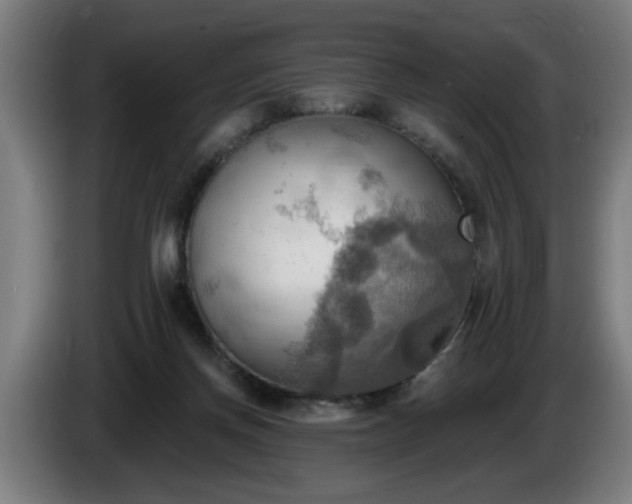 X0000086000166200703300956