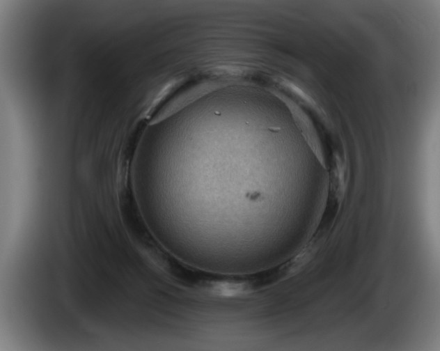 X0000086000168200703300956