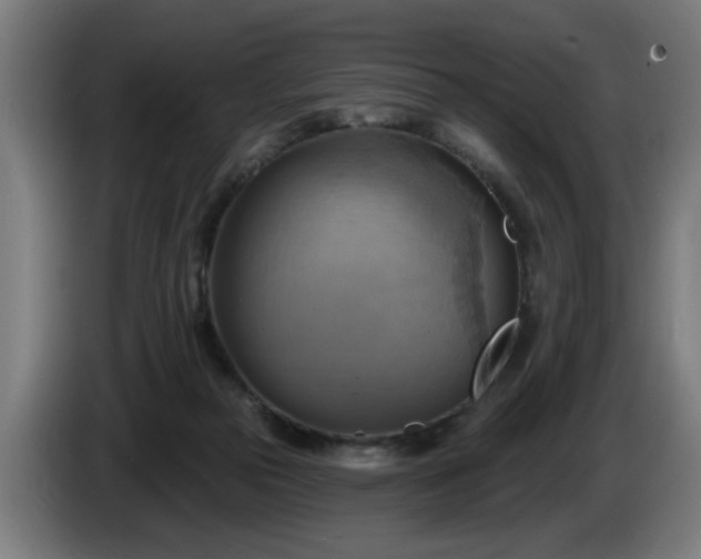 X0000086000169200703300956