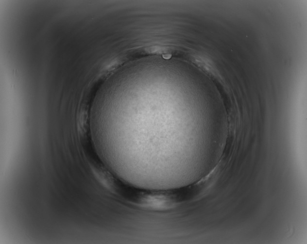 X0000086000171200703300956