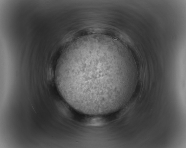 X0000086000173200703300956