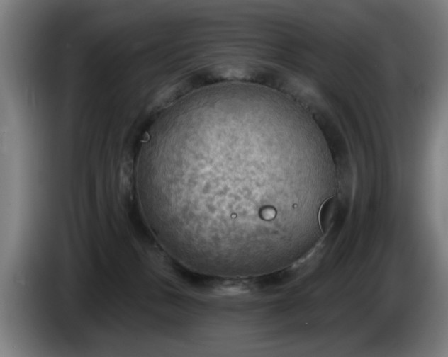 X0000086000175200703300956