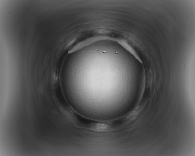 X0000086000176200703300956