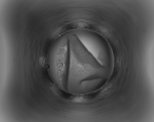 X0000086000177200703300956