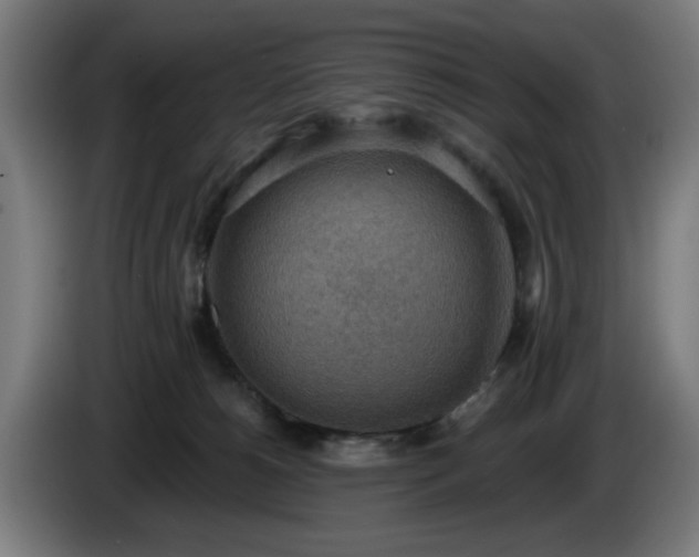 X0000086000180200703300956