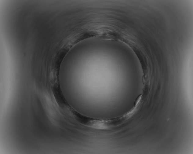 X0000086000182200703300956