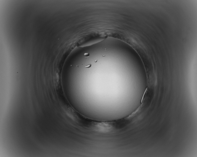 X0000086000183200703300956