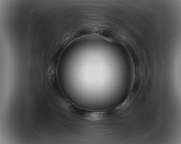 X0000086000184200703300956