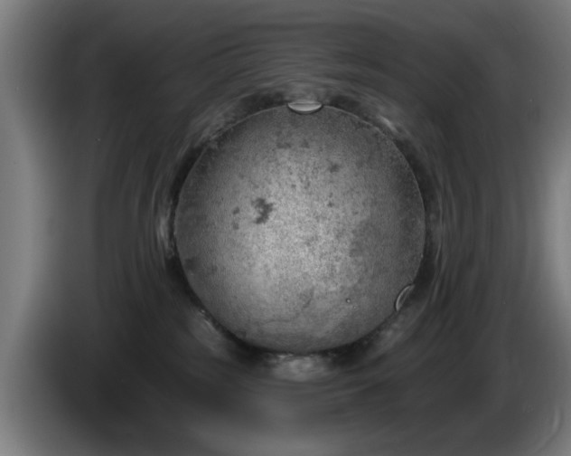 X0000086000185200703300956