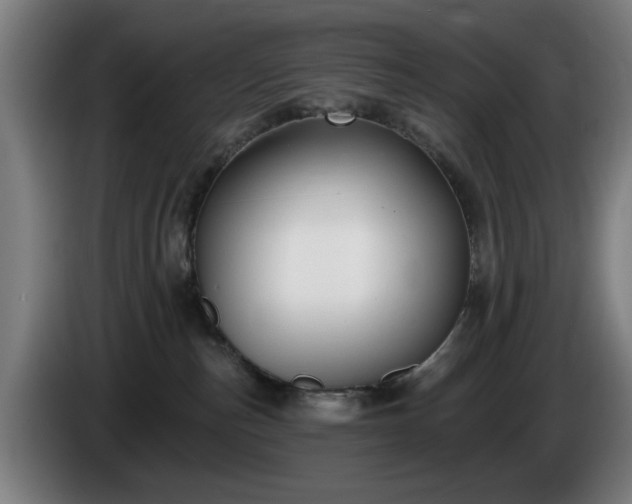 X0000086000187200703300956