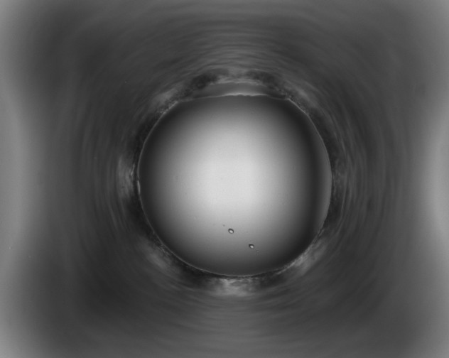 X0000086000188200703300956