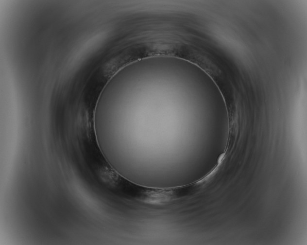 X0000086000191200703300956