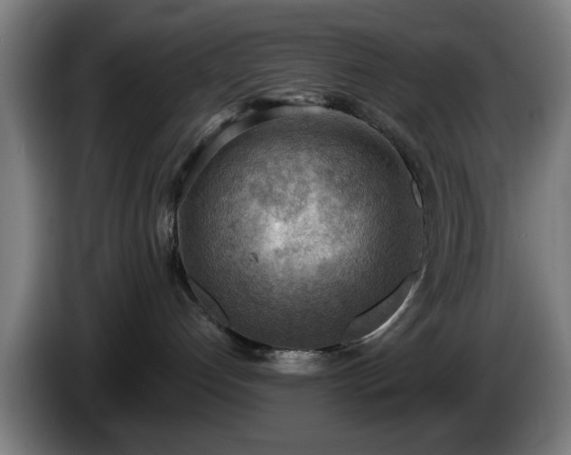 X0000086000192200703300956