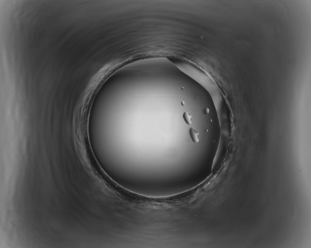 X0000086000193200703300955