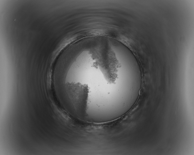 X0000086000194200703300955