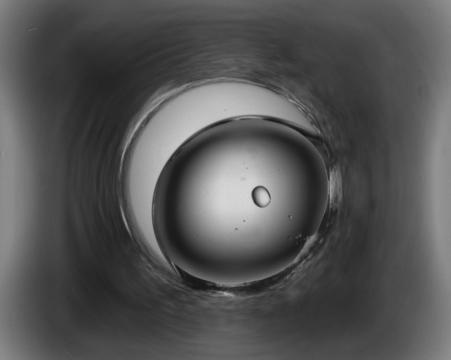 X0000086000195200703300955