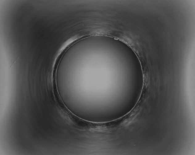 X0000086000196200703300955