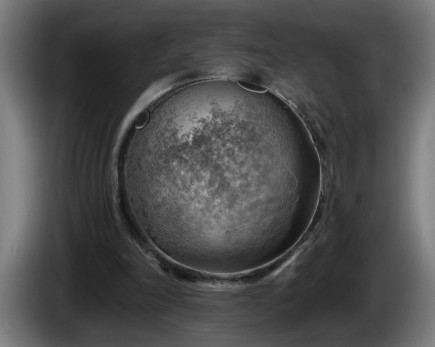 X0000086000198200703300955