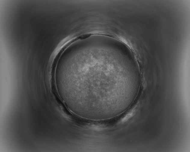 X0000086000199200703300955