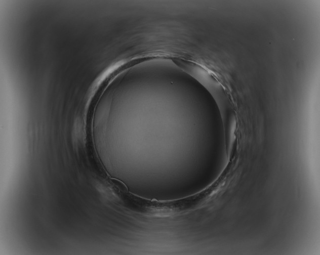 X0000086000200200703300955