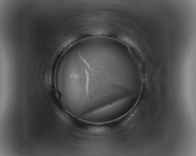 X0000086000202200703300955