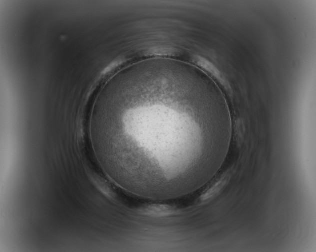 X0000086000203200703300955