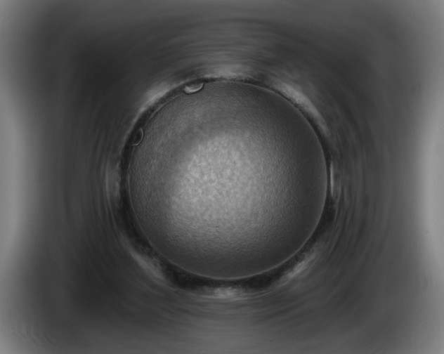 X0000086000204200703300955