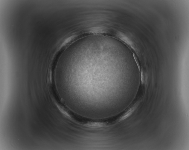 X0000086000205200703300955