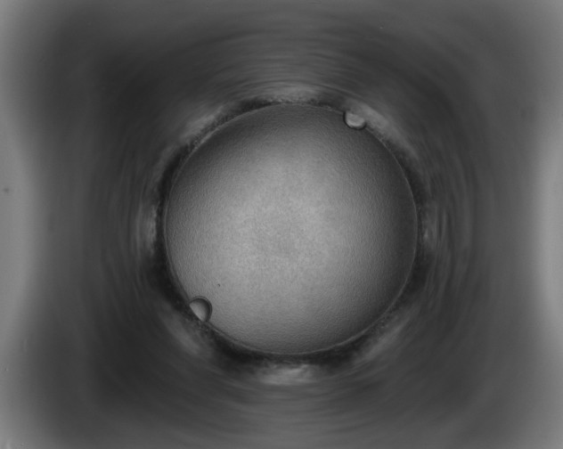 X0000086000206200703300955