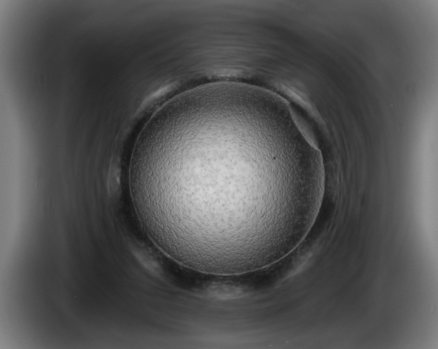 X0000086000207200703300955