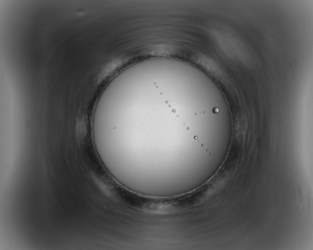 X0000086000208200703300955