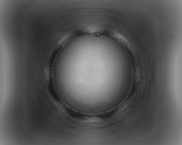 X0000086000210200703300955