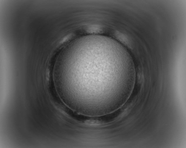 X0000086000211200703300955