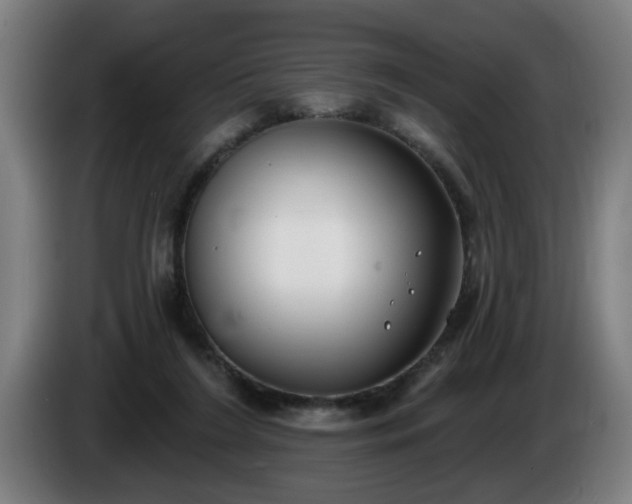 X0000086000212200703300955