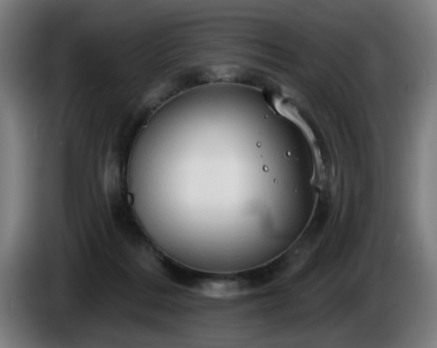 X0000086000220200703300955