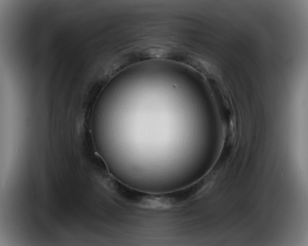 X0000086000221200703300955