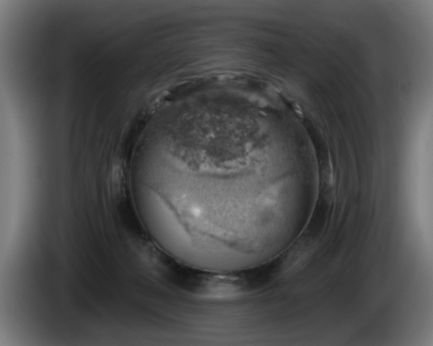 X0000086000222200703300955