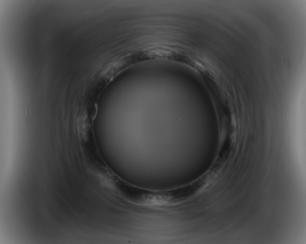 X0000086000223200703300955