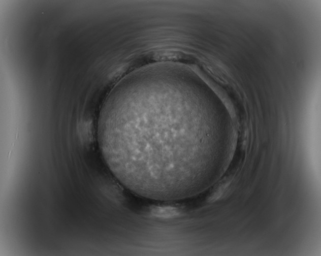 X0000086000224200703300955