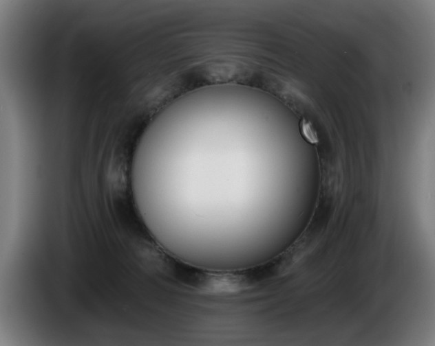 X0000086000226200703300955