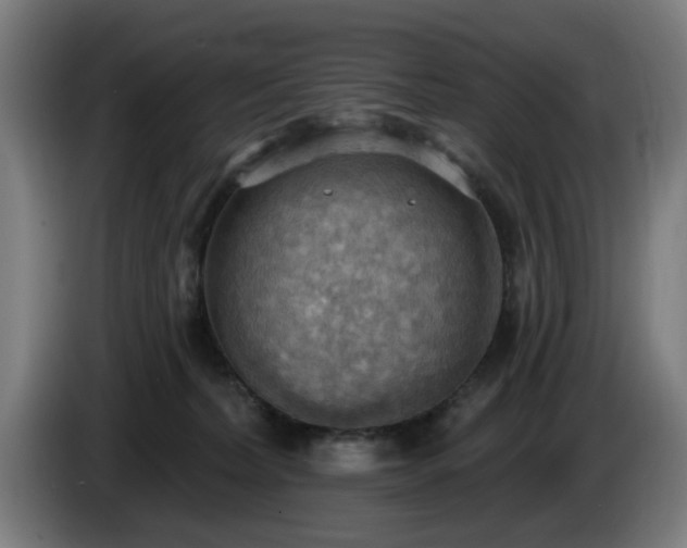 X0000086000228200703300955