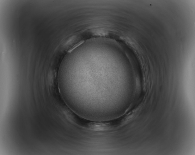 X0000086000229200703300955